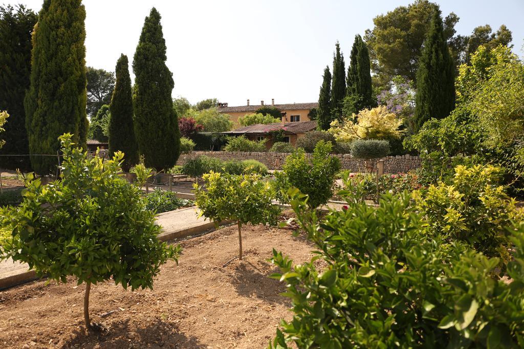 Oliver Moragues Grandhouse & Vineyard Algaida  Exterior photo